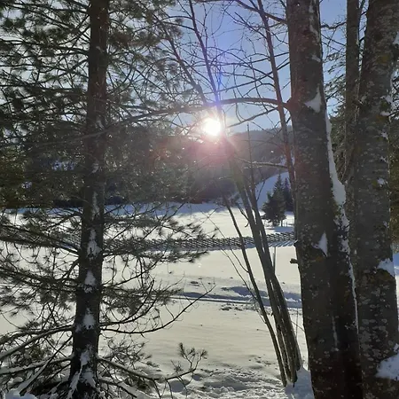 Sonnenschein *